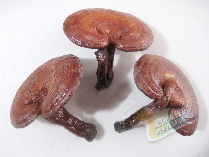 Changbai Mountain Basswood (semi-wild Ganoderma lucidum 250g) Purple Ganoderma lucidum high-quality Lin Chi free powder slices