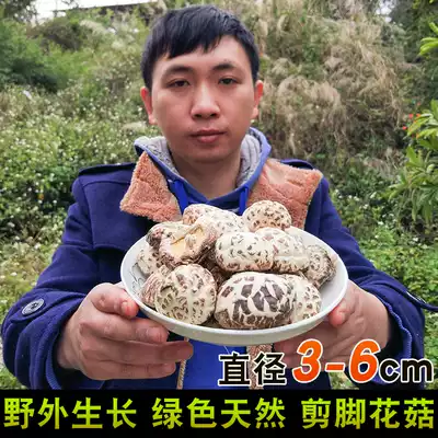 Small mushroom dry goods 500g Gutian farmhouse specialty mushroom cut foot basswood white mushroom fresh winter thick shiitake mushrooms