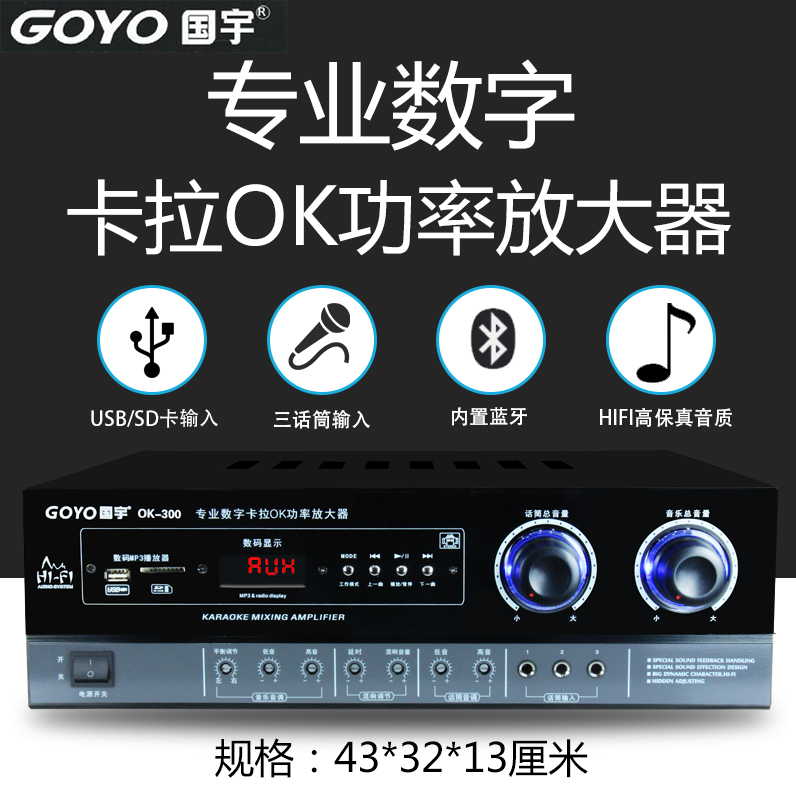 Guoyu 300W Fixed Resistance Hifi High-Power Amplifier Karaoke Home Ktv Stage Av Two-Channel Speaker