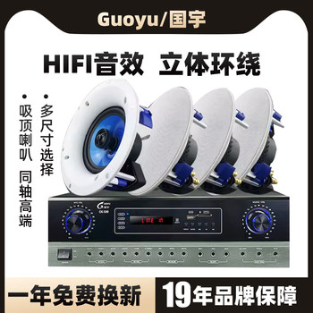 Guoyu Coaxial Fixed-Resistance Ceiling Speakers Ceiling-Mounted Speakers Home Subwoofer Surround Sound