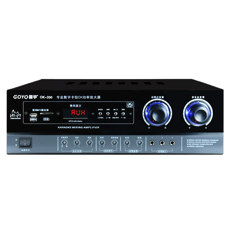 Guoyu 300W Fixed Resistance Hifi High-Power Amplifier Karaoke Home Ktv Stage Av Two-Channel Speaker