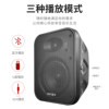 Guoyu Guoyu G-L5S Wall-Mounted Audio Active Wall-Mounted Wireless Bluetooth Speaker Two-Way Subwoofer Speaker
