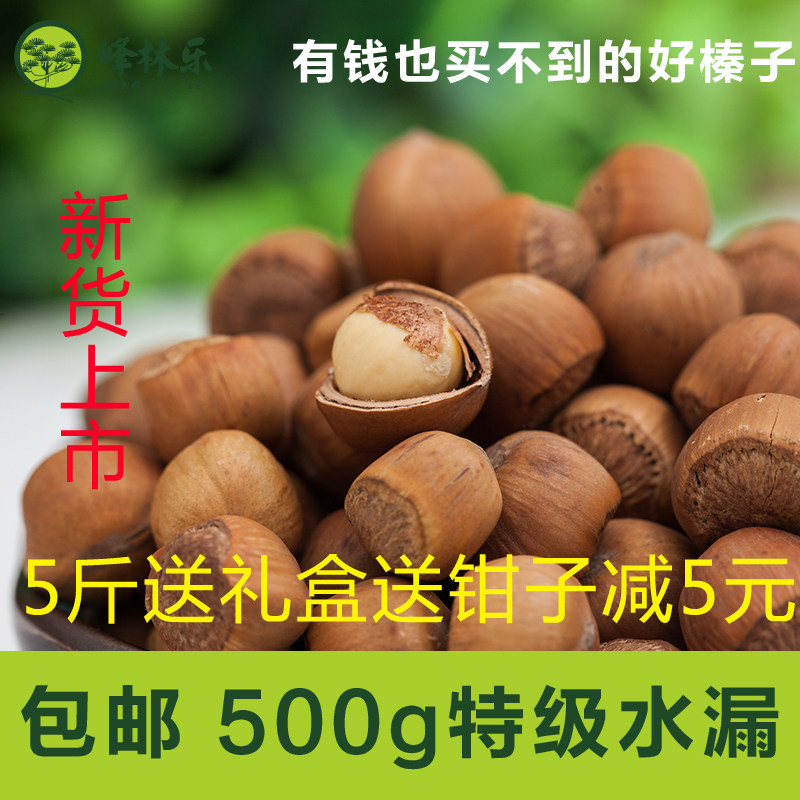 Peak Forest Ledong North Special Production Iron Ridge Open Original New Cargo Hand Pat Wild Water Drain Hazelnut Dried Fruits 500g