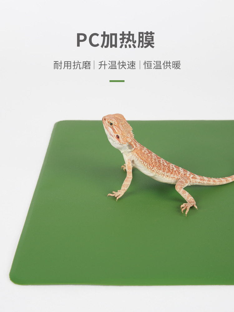 Аксессуары для рептилии reptizoo宠物爬宠加热垫温控睫角守宫蛇角蛙乌龟寄居蟹保温加温片 101564831