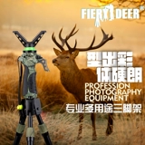 Фотография птиц, наблюдая за рыбалкой камеры, стрельба по охоте