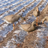 10 комплектов североамериканского утилита