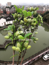 (Big sister) olive branch leaf fruit simulation Berry decoration green flower art olive European style Nordic meaning