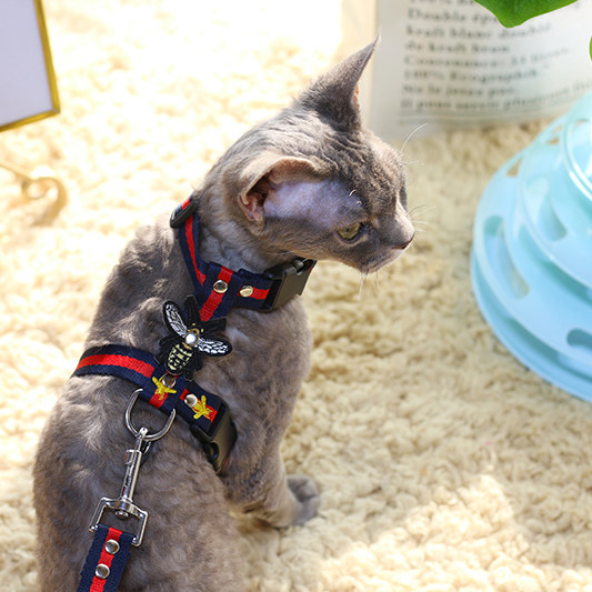 Kitty Traction Chest Back Type Adjustable Walking Cat Rope Anti-Escape Rope Anti-Cat God Instrumental Small Dog Walking Dog Rope Traction Belt