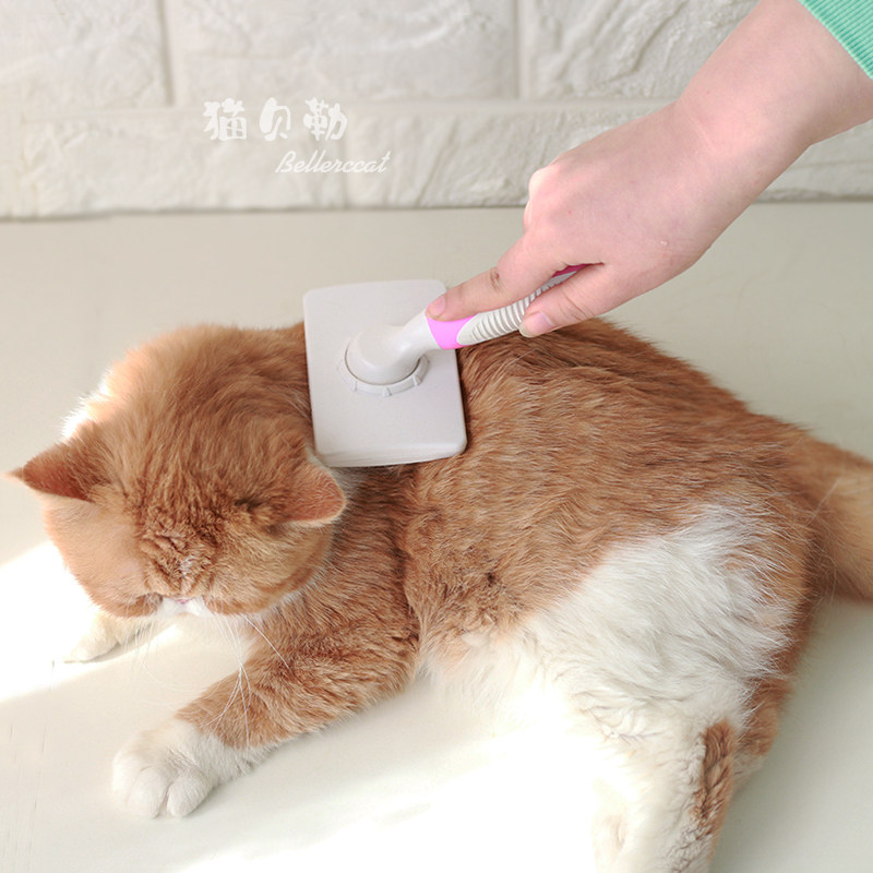 Cat Belle medium Long hairy cat used to hair comb with hair comb Hair Glove Pet Massage Comb for long hairy cat use