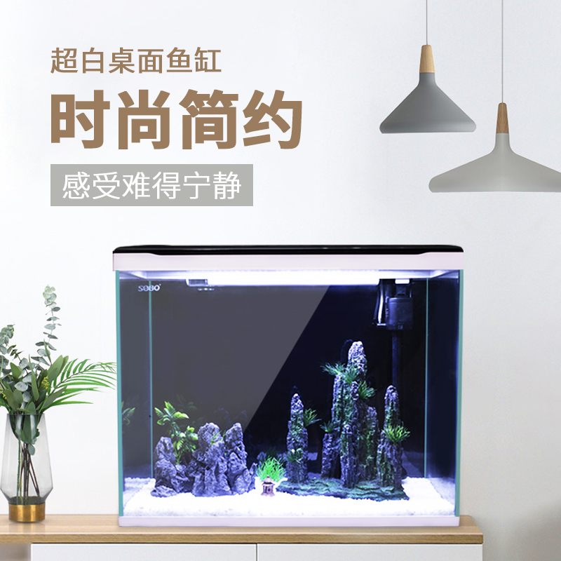 Ultra White Glass Fish Tank Living Room Small Aquarium Gold Fish Tank Eco-free water straw cylinder Desktop View Fish Tank