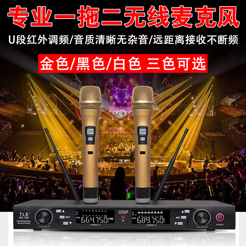 Wireless microphone microphone one for two home KTV singing karaoke Outdoor dedicated professional stage conference u segment