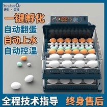 unikom beit incubator automatic home incubator intelligent small incubator small ji ya e incubator