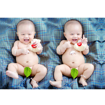 Twins bird bird baby pictorial cute boy poster doll photo wall stickers pregnant women prenatal education