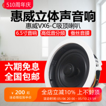 Hivi Whewway VX6-C Fixed Suction Horn Amplificateur de plafond Set de haut-parleur domestique VX5 VX8