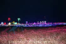 Light flower sea arrangement LED light lawn dotted with light festival LED decoration arrangement