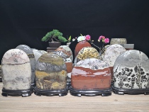 Natural ornamental stone grass flower stone stone Chinese painting stone strange stone desk home furnishings small round stone housewares