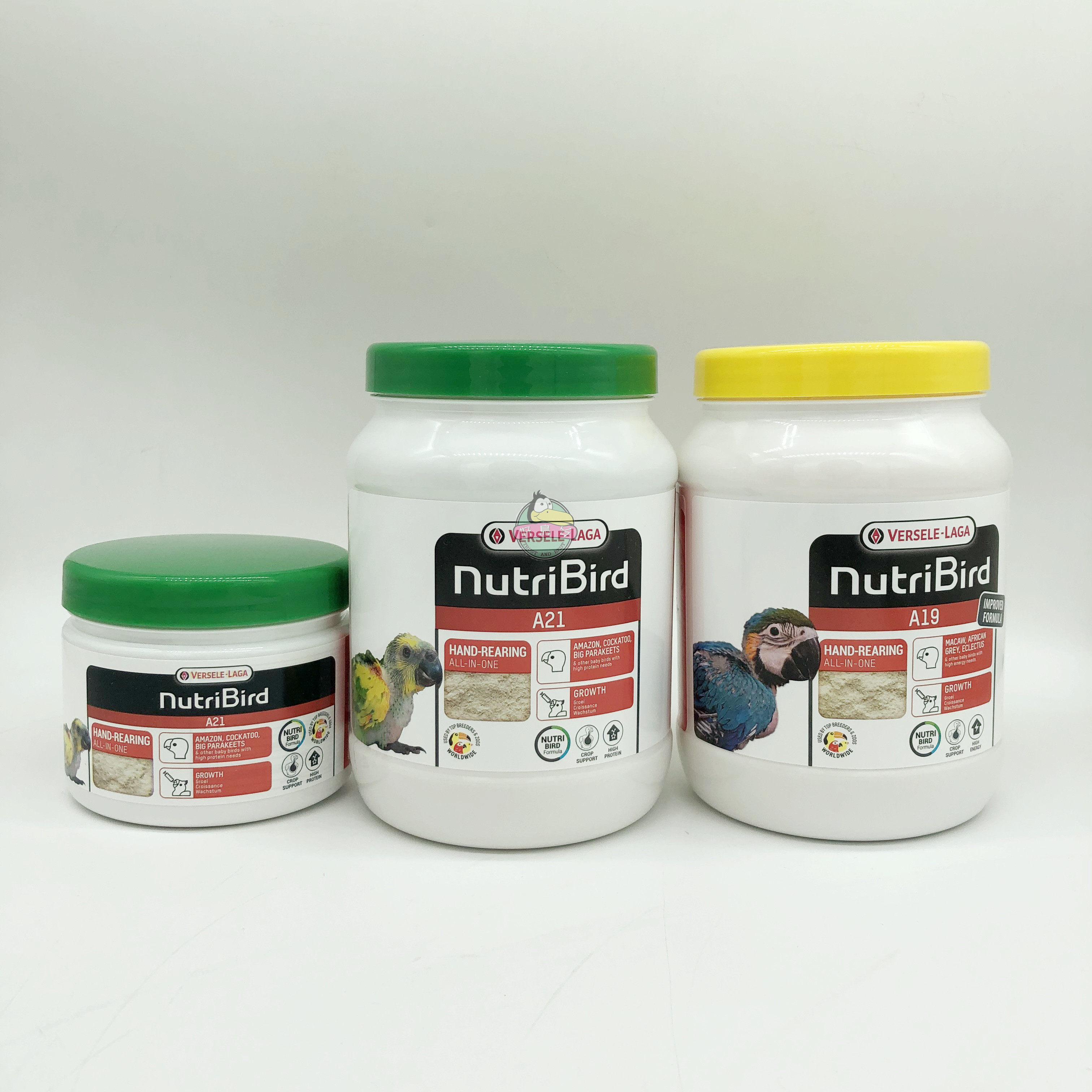 Belgian Versailles young bird a19 a21 parrot milk powder original 800g suction powder honey powder 700g
