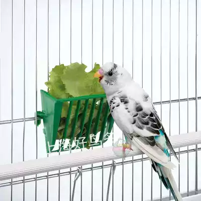 Imported Italian IMAC small bird vegetable basket vegetable holder fruit small parrot
