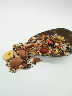 Good birds, medium and large parrots, combined with Shell feed, Shell parrot grain, 500g, a single pound of 5kg