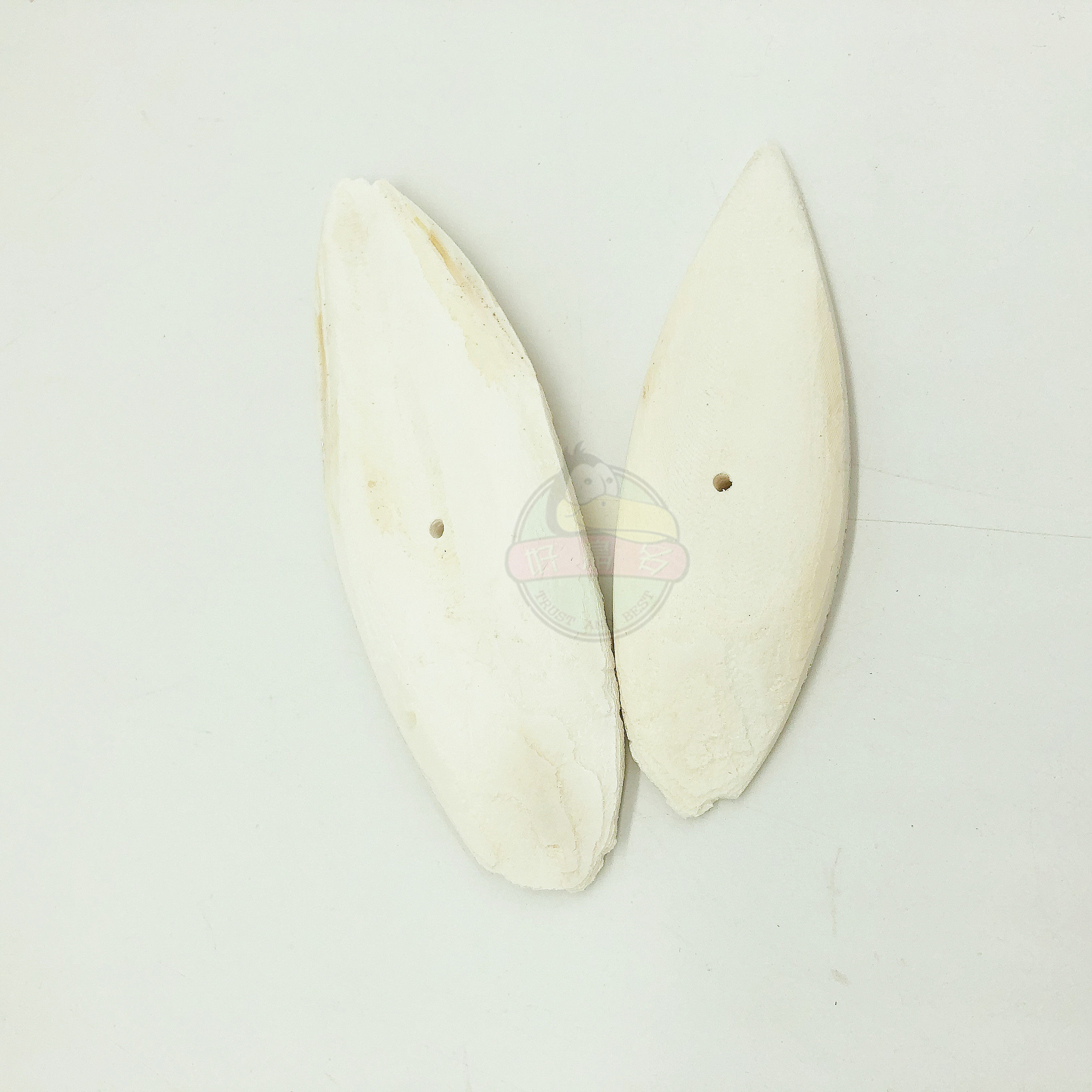 The whole piece of desalinated ink bone polishing the edge of the punched parrot pet calcium grinding mouth