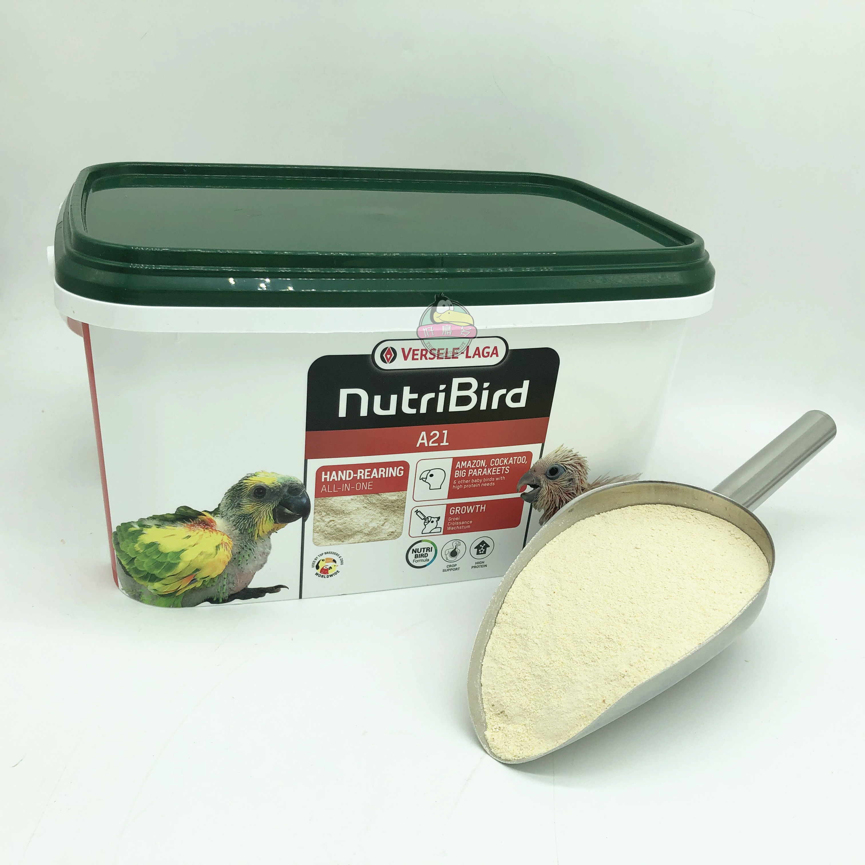 Belgium Vansel Young Bird A21 Parrot milk powder A21 packed 500g self - sealed bottle