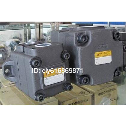 Kergia KCL pumps VQ425-136 156189200216 237-18 22 26 26 32-F-RAAA-02