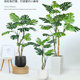 Nordic Style Artificial Green Plants, High-End Light Luxury Monstera Landscaping Combination, Tropical Plant Potted Plants, Window Decoration Ornaments