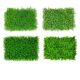 Simulated Plant Wall Background Wall Storefront Sign Decoration Flower Wall Green Plastic Artificial Flowers Eucalyptus Green Plant Wall