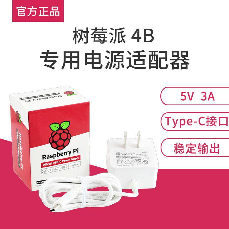 Micro Snow Raspberry Pi 4B Raspberry Pi Original Power Supply 5V 3A USB Type-C Interface American Standard Power Supply