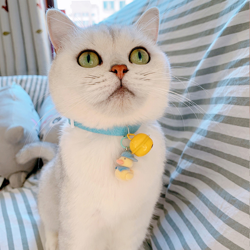 Today to cheer the duck and knock on the cute kitty Item Circle cute little Ducks Bell can regulate Neck Cat Cat Accessories