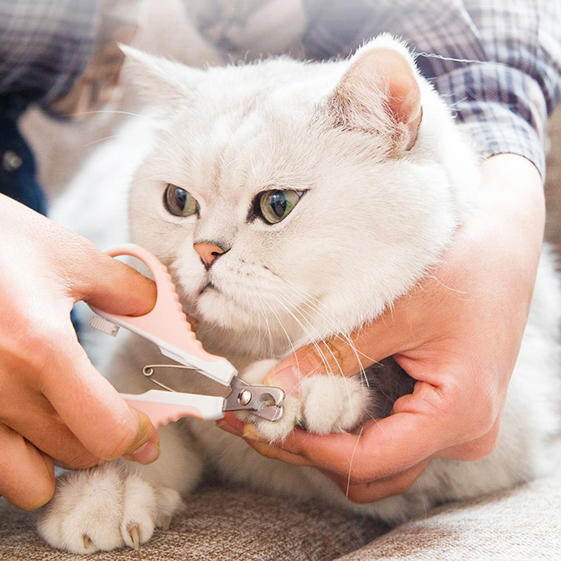 Cat nail scissors elbow design pet nail scissors cat supplies nail scissors artifact
