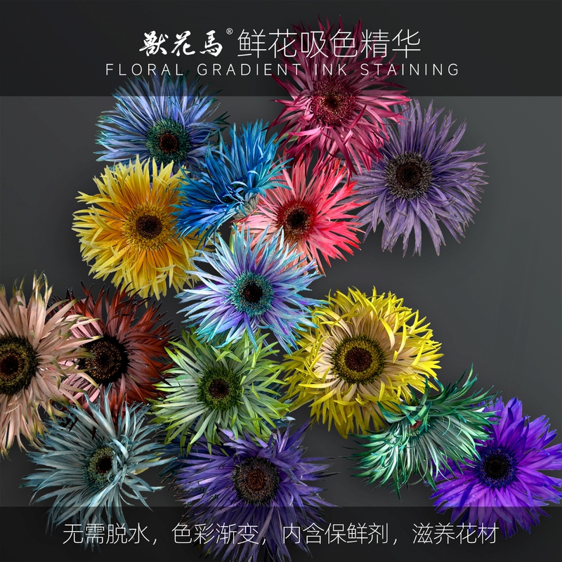 Zhuohuama【Flower Color Absorbing Essence】/Flower Color Absorbing Dye/Ink Dye/Time Dye/Classic Dye