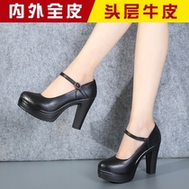 Catwalk high heels cheongsam shoes thick heel model shoes 42 leather large size single shoes 41 black round head shallow mouth work shoes women