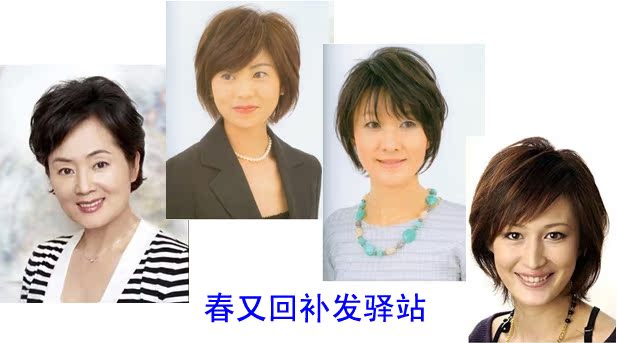 Extension mèches - Ref 223980 Image 17