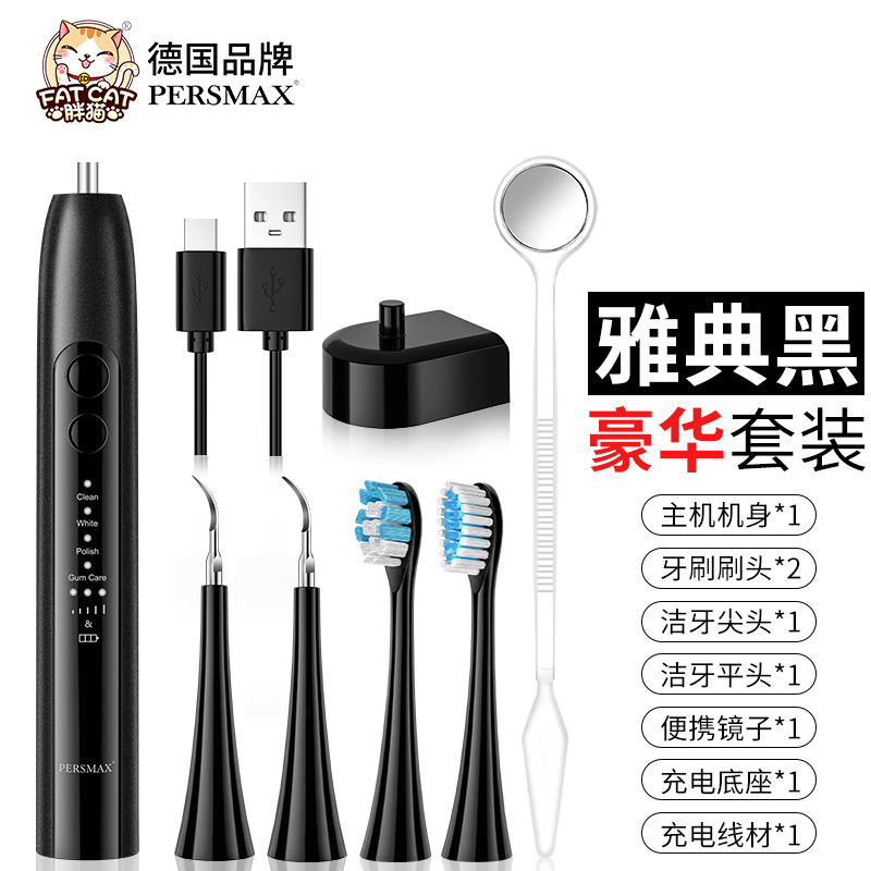 Persmax German Sonic Tooth Cleaner Two-In-One Dental Cleaner Tartar Removal Tool Electric Toothbrush Gadget