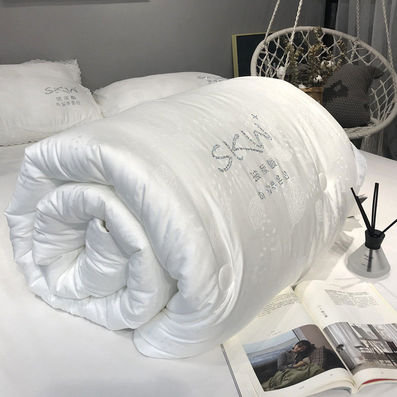 Soft hydrouric acid beauty antibacterial spring and autumn thin quilt core double summer air conditioning is used in warm winter for four seasons