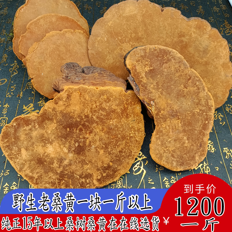 Long white mountain wild special class mulberry tree mulberry yellow lingzhi for more than one catty of old mulberry yellow whole branches really Phnom Penh samyeli-Taobao