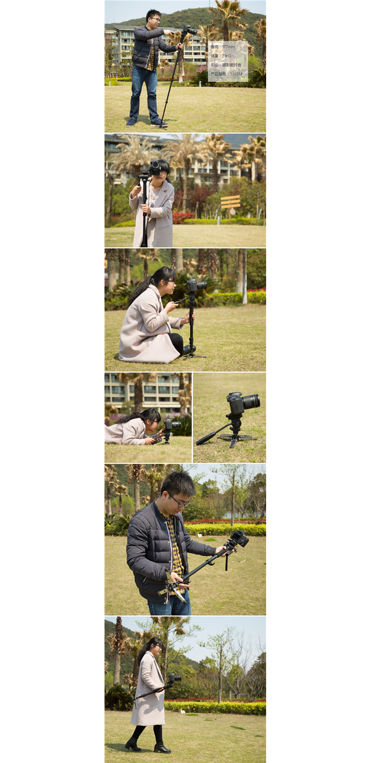 Weifeng 3958M nhiếp ảnh máy ảnh monopod camera SLR chân đầu monopod alpenstocks hỗ trợ di động - Phụ kiện máy ảnh DSLR / đơn kẹp điện thoại tripod