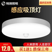 Radar body sensor light simple modern Nordic home corridor ladder smart corridor aisle led ceiling light