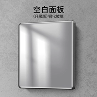 Пустая панель (истинное стальное стекло)