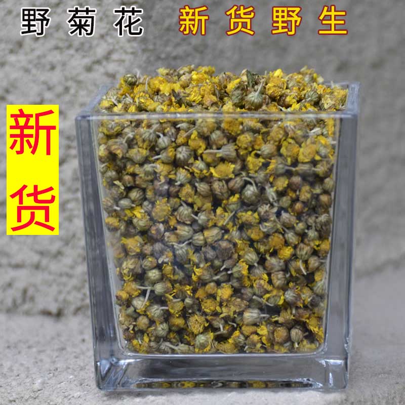 Wild Chrysanthemum Chamomile Flowers Tea Big Chrysanthemum Wild Chrysanthemum Wild Chrysanthemum Daisy Mountains Wild Chrysanthemum Flowers New and Chrysanthemum Flowers of Chrysanthemum Flowers