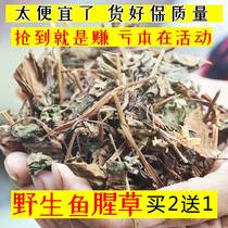 Houttuynia fresh Houttuynia cordata Dabie Mountain wild Houttuynia cordata dried Houttuynia cordata tea Wild Houttuynia