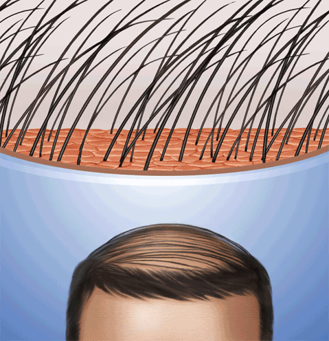 Tête mannequin - Ref 284007 Image 7