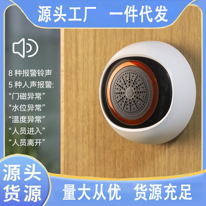 Graffiti intelligent audible and visual alarm Intelligent home burglar alarm USB battery powered audible and visual alarm-Taobao