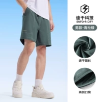 Морская сосна, самец, J15BW04046