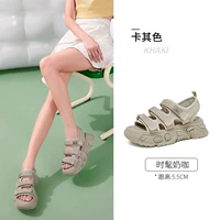 L24M577709, Khaki