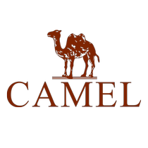 Camel Outdoor Down Jacket Autumn and Winter New Womens Short Lightweight Warm Goose Down Water-Repellent Down Jacket