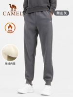 Y13CY05015, Ушаньхуэй, кобель