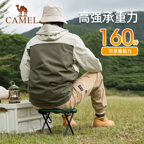 Дорожная складная металлическая художественная пони для кемпинга для рыбалки, алюминиевый сплав