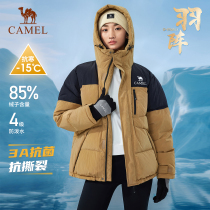 (Same style for baby) Camel Outdoor Down Jacket Winter New Mens and Womens Water Repellent 3A Antibacterial Hooded Bread Jacket